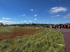 -盐城丹顶鹤湿地生态旅游区
