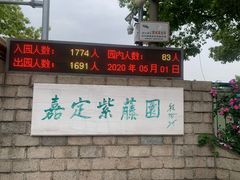 -嘉定紫藤园