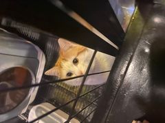 -長壹旋转烤吧 农家鸡火锅