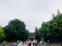 -昭明书院