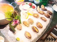 鲜活鲍鱼-集渔泰式火锅(泉舜购物店)