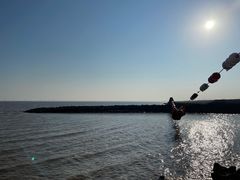 -南汇嘴观海公园