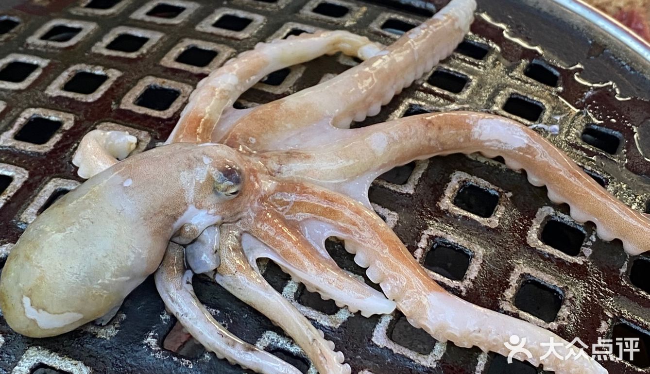 福州N刷的平价烤肉店‼️居然还有棉花糖冰淇淋