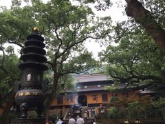 -普陀山风景名胜区-法雨禅寺