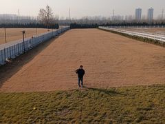 -汉长安城未央宫国家考古遗址公园