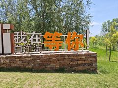 -白洋淀景区