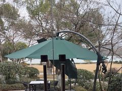 -浙江西子宾馆·瑶园咖啡厅