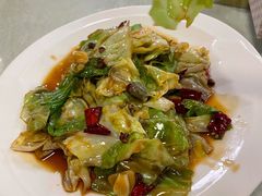 生炒手撕包菜-那达慕蒙古风味酒楼
