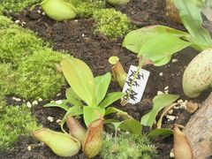 -国家植物园南园