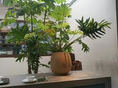 -自如ZSPACE四合院艺术餐厅