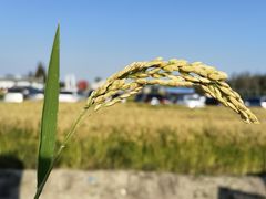 -营地公园·团建拓展·亲子户外(奉贤店)