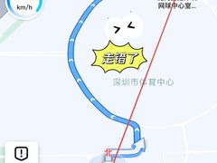 -大生体育(总店)