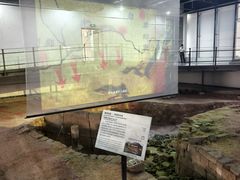 -南越王博物院(王宫展区)