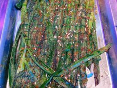 -燥次·烧烤酒场(万象城店)