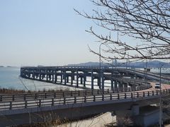 -星海湾跨海大桥