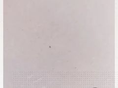 -麦当劳(健德桥得来速店)