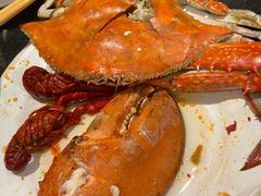 -蓝钻·国际美食海鲜自助百汇(西直门店)