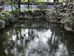 -绮园景区
