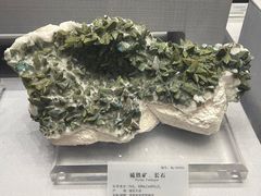 -湖南省地质博物馆