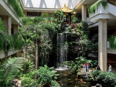 -白天鹅宾馆-宏图府餐厅