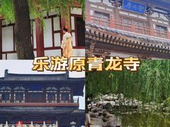-西安乐游原
