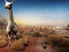 -陕西自然博物馆