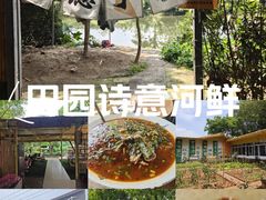 -苏记溪河鲢鱼庄(天府新区店)