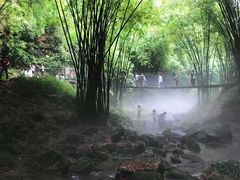 -川西竹海景区