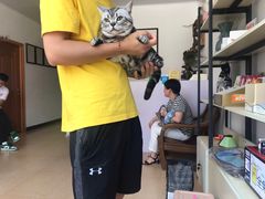 -灵美宠物诊所