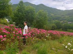 -镇坪县曙坪小学