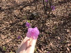 -九鼎铁刹山风景区