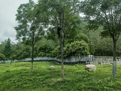 -西安秦岭野生动物园