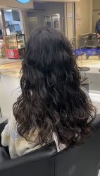 -东方麒麟·潘多拉SALON