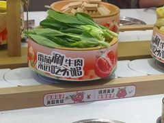 -龍歌自助小火锅(崂山丽达店)
