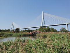 -芒洲湿地公园
