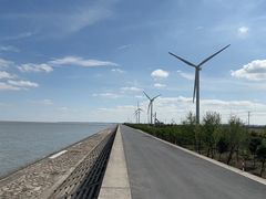 -上海长兴岛郊野公园