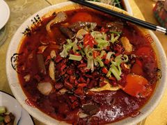 麻婆绝味毛血旺-陈麻婆豆腐(春熙店)