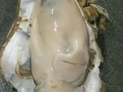 -蠔爺王志德生蚝馆(金沙湾店)
