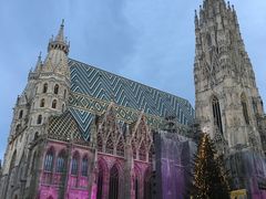 -斯蒂芬主教座堂(Stephansdom)