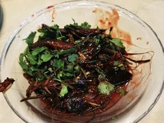 -张鸟园农家乐(张鸟园店)