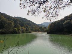 -世间香境·七溪地