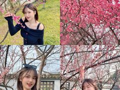 -东湖磨山景区樱花园-停车场