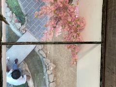 -缘福乡村铁锅炖民宿(八达岭店)