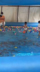 -萌宠亲子动物乐园(槐房万达店)