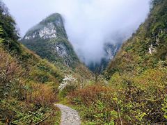 -鹿院坪生态旅游景区