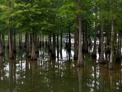 -白鹭湾湿地公园
