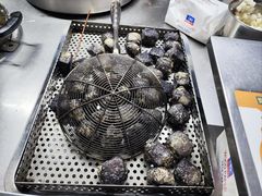 -南方医科大学深圳医院