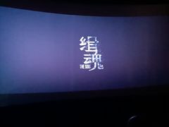-武商摩尔影城(国广IMAX激光店)