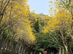 -狐尾山公园