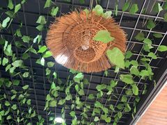 -三里屯土灶炖公鸡地锅鸡(江东店)